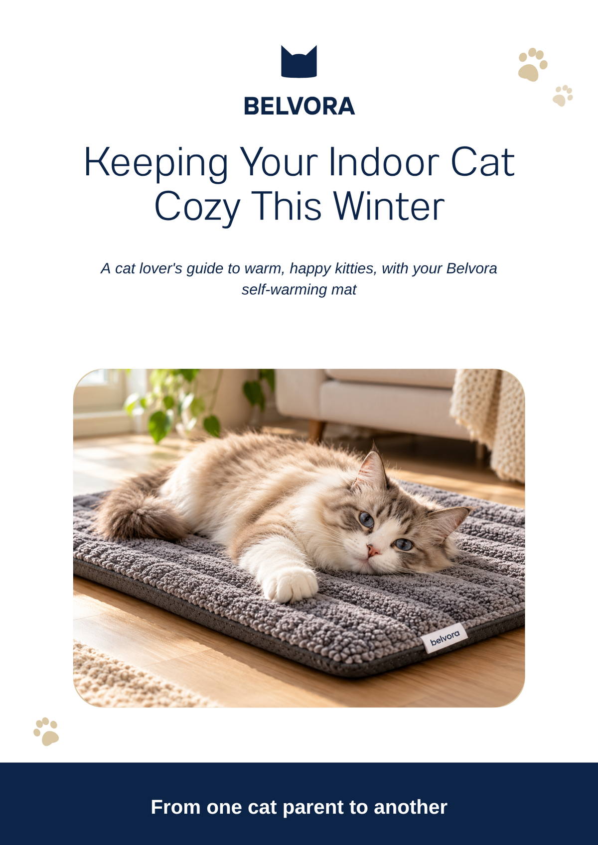 Belvora - Kitty Winter Guide
